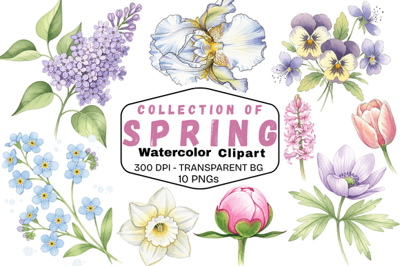 Download Delicate Spring Watercolor Florals - Floral Collection